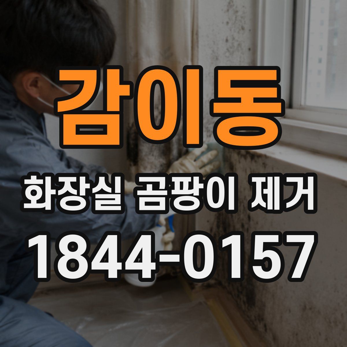 감이동 화장실 곰팡이 제거