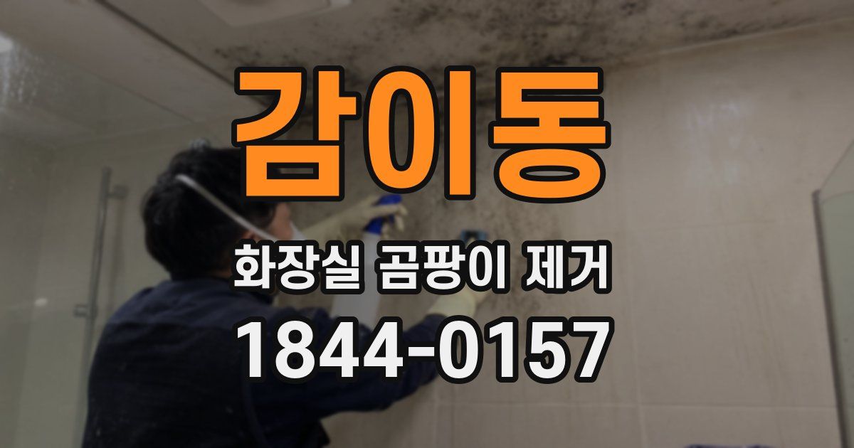 감이동 화장실 곰팡이 제거