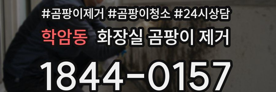 학암동 화장실 곰팡이 제거
