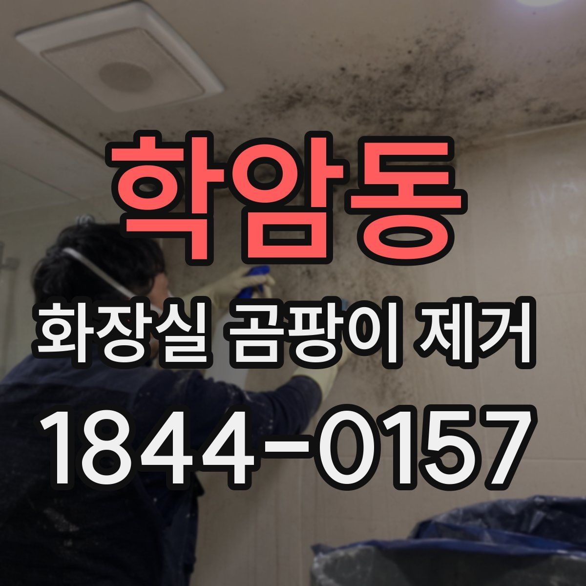 학암동 화장실 곰팡이 제거