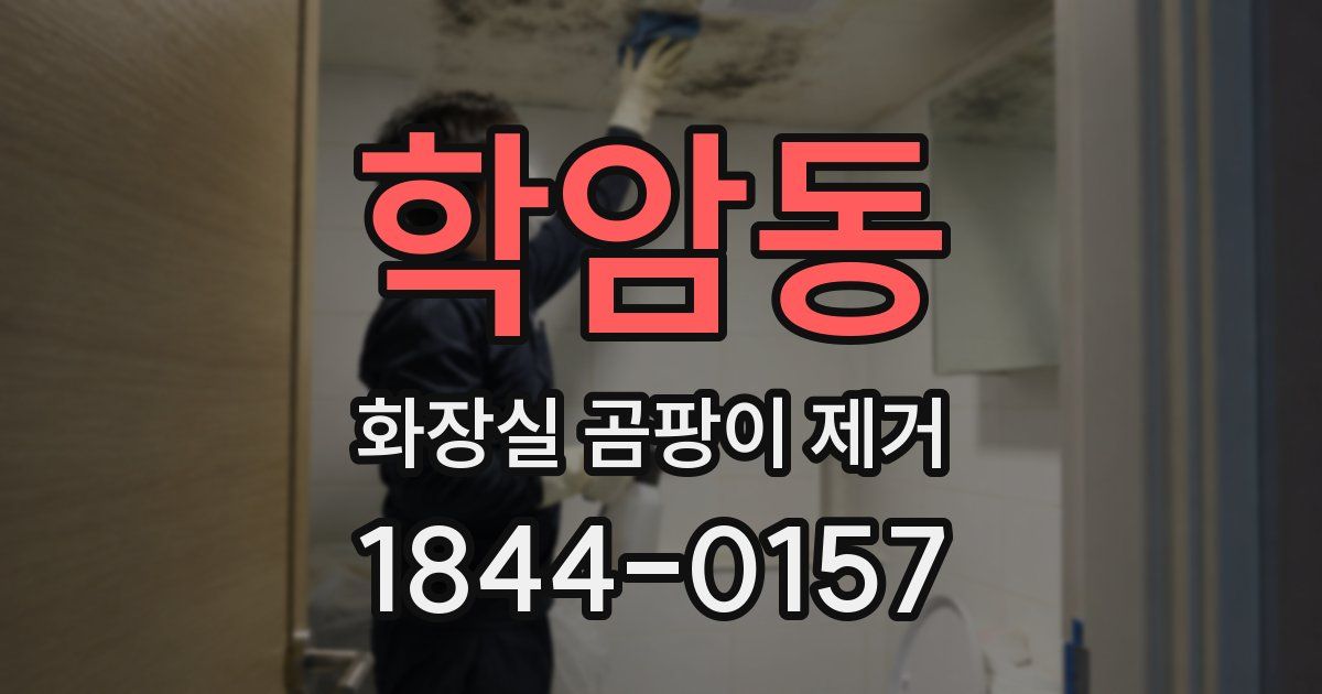 학암동 화장실 곰팡이 제거