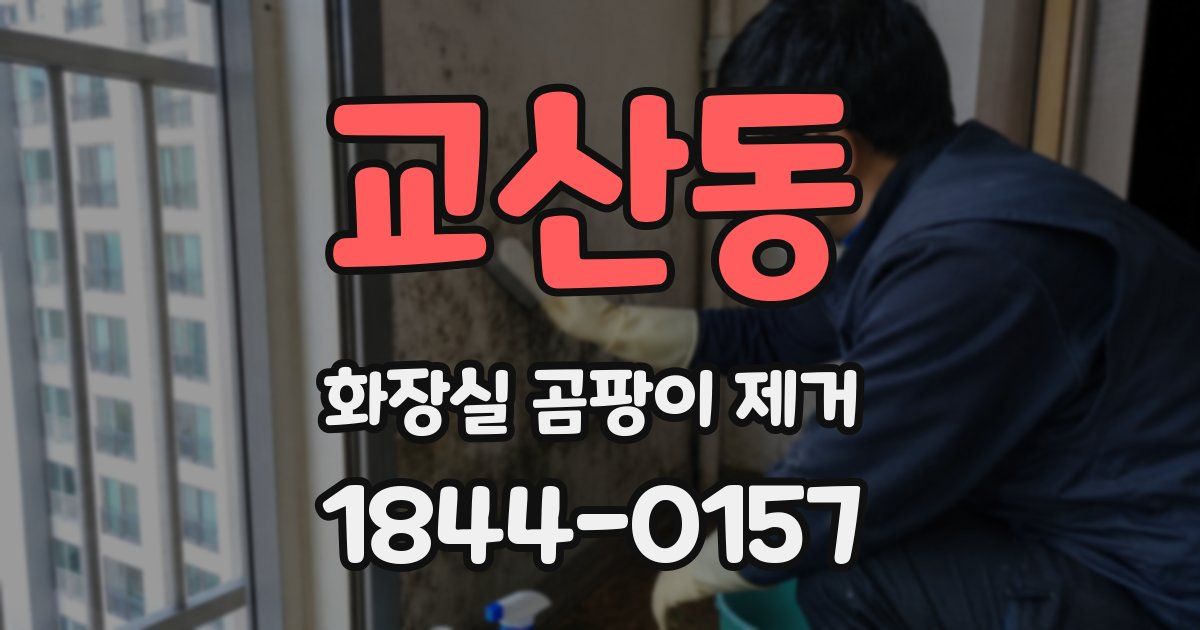교산동 화장실 곰팡이 제거