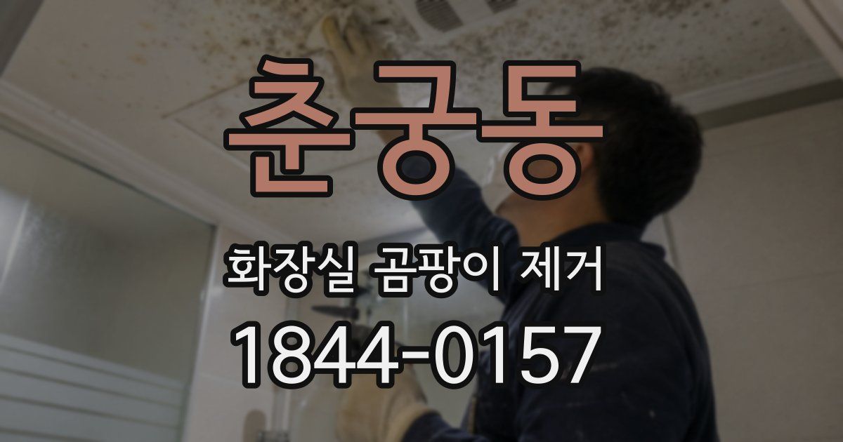춘궁동 화장실 곰팡이 제거