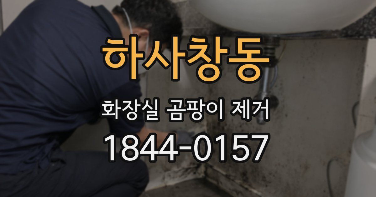 하사창동 화장실 곰팡이 제거