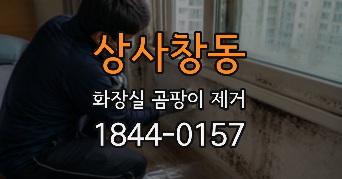 상사창동 화장실 곰팡이 제거