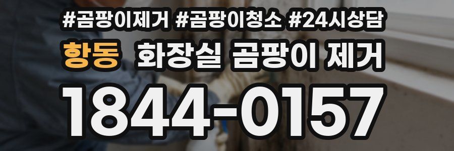 항동 화장실 곰팡이 제거
