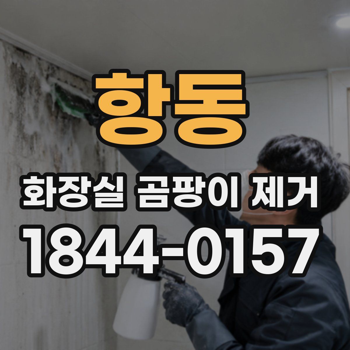 항동 화장실 곰팡이 제거