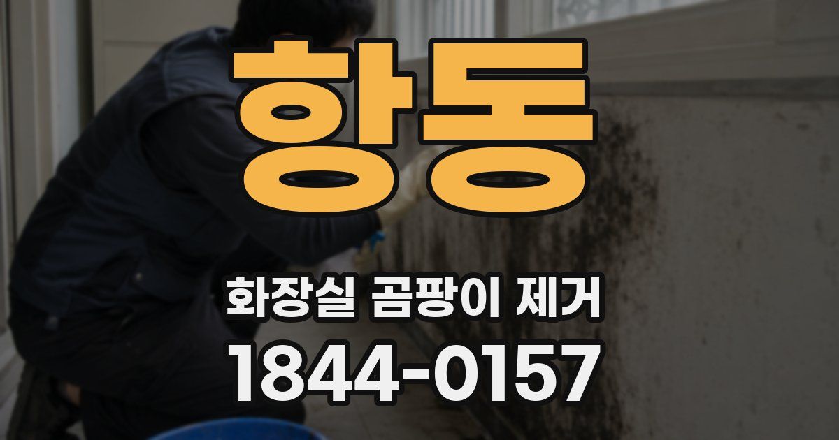 항동 화장실 곰팡이 제거