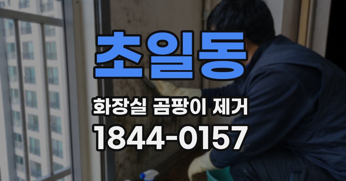 초일동 화장실 곰팡이 제거
