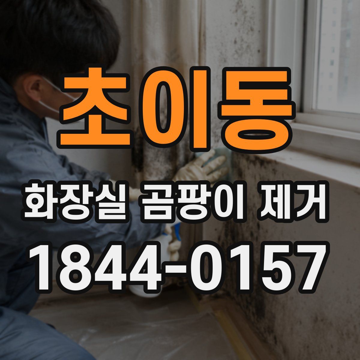 초이동 화장실 곰팡이 제거
