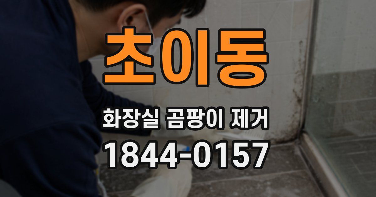 초이동 화장실 곰팡이 제거