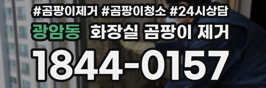 광암동 화장실 곰팡이 제거