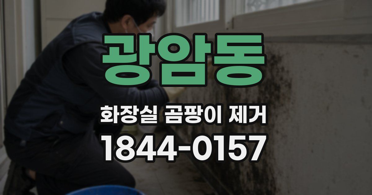 광암동 화장실 곰팡이 제거