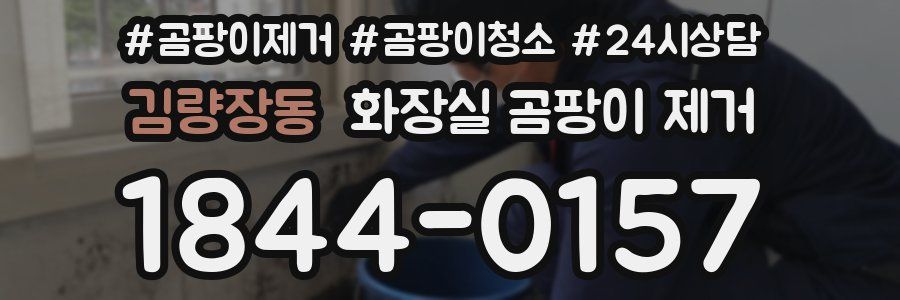 김량장동 화장실 곰팡이 제거