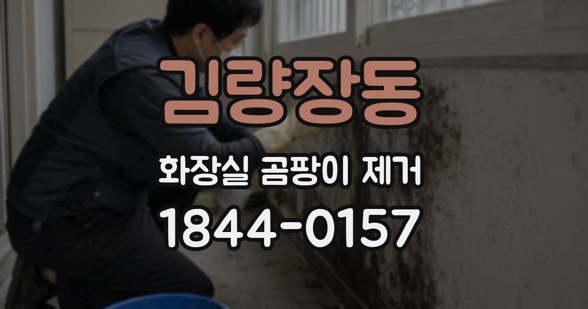 김량장동 화장실 곰팡이 제거