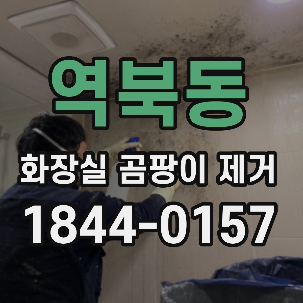 역북동 화장실 곰팡이 제거 베란다 없는 집의 습기 관리 연계
