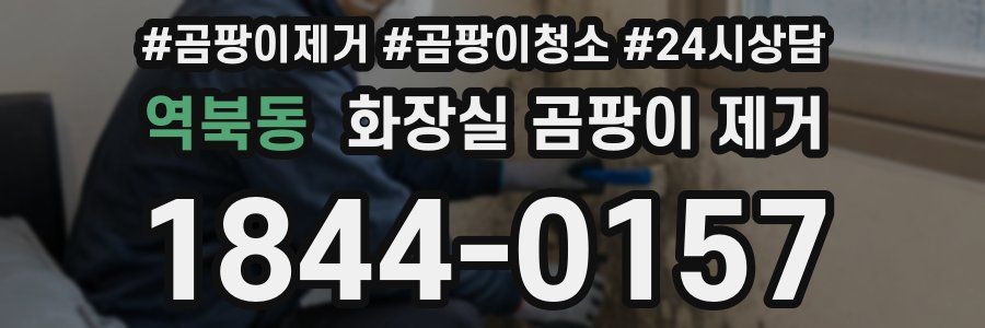 역북동 화장실 곰팡이 제거
