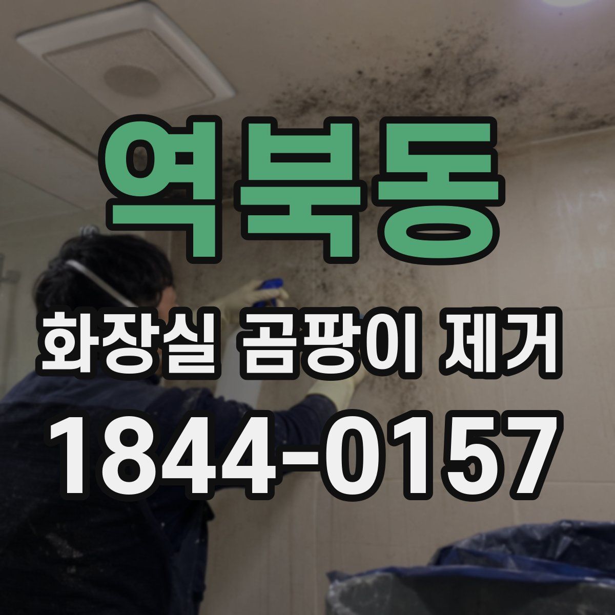 역북동 화장실 곰팡이 제거