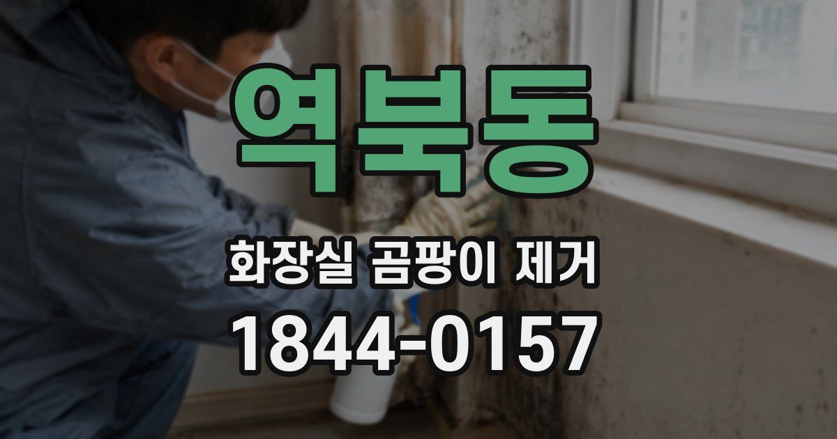 역북동 화장실 곰팡이 제거