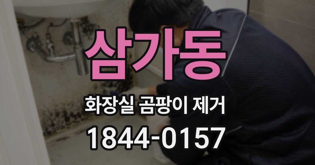 삼가동 화장실 곰팡이 제거