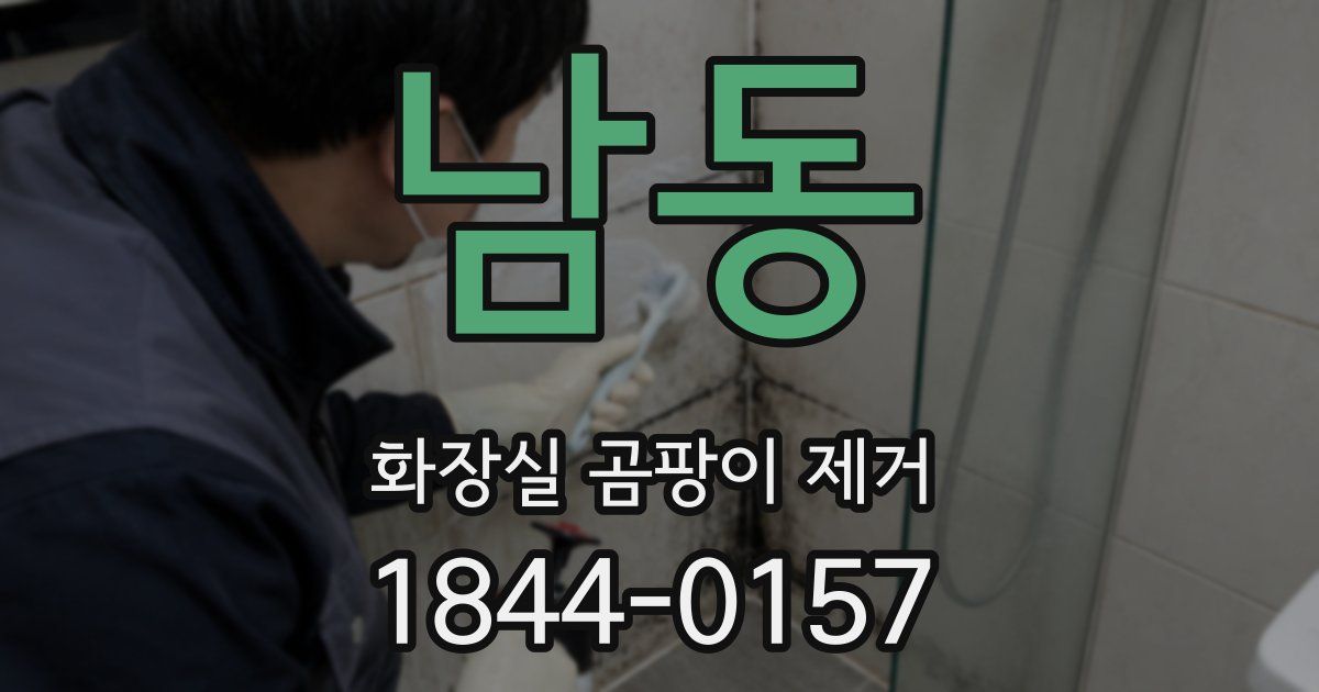남동 화장실 곰팡이 제거
