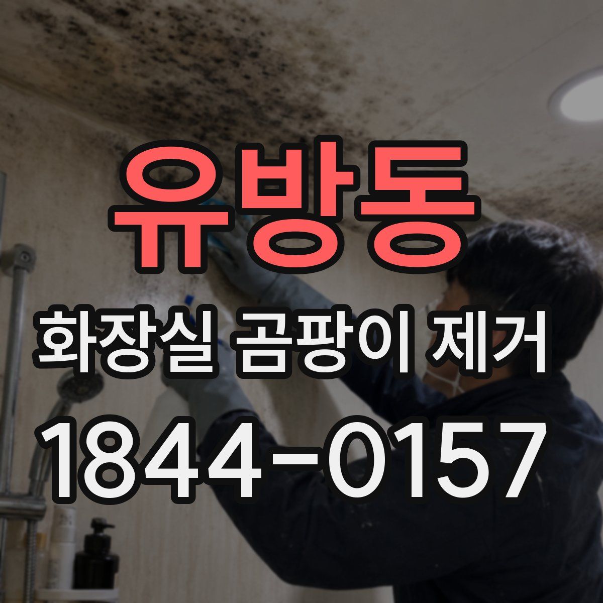 유방동 화장실 곰팡이 제거