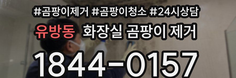 유방동 화장실 곰팡이 제거