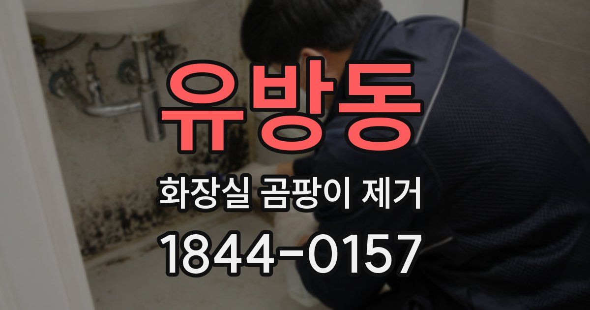 유방동 화장실 곰팡이 제거