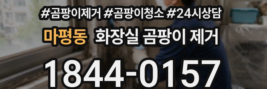 마평동 화장실 곰팡이 제거