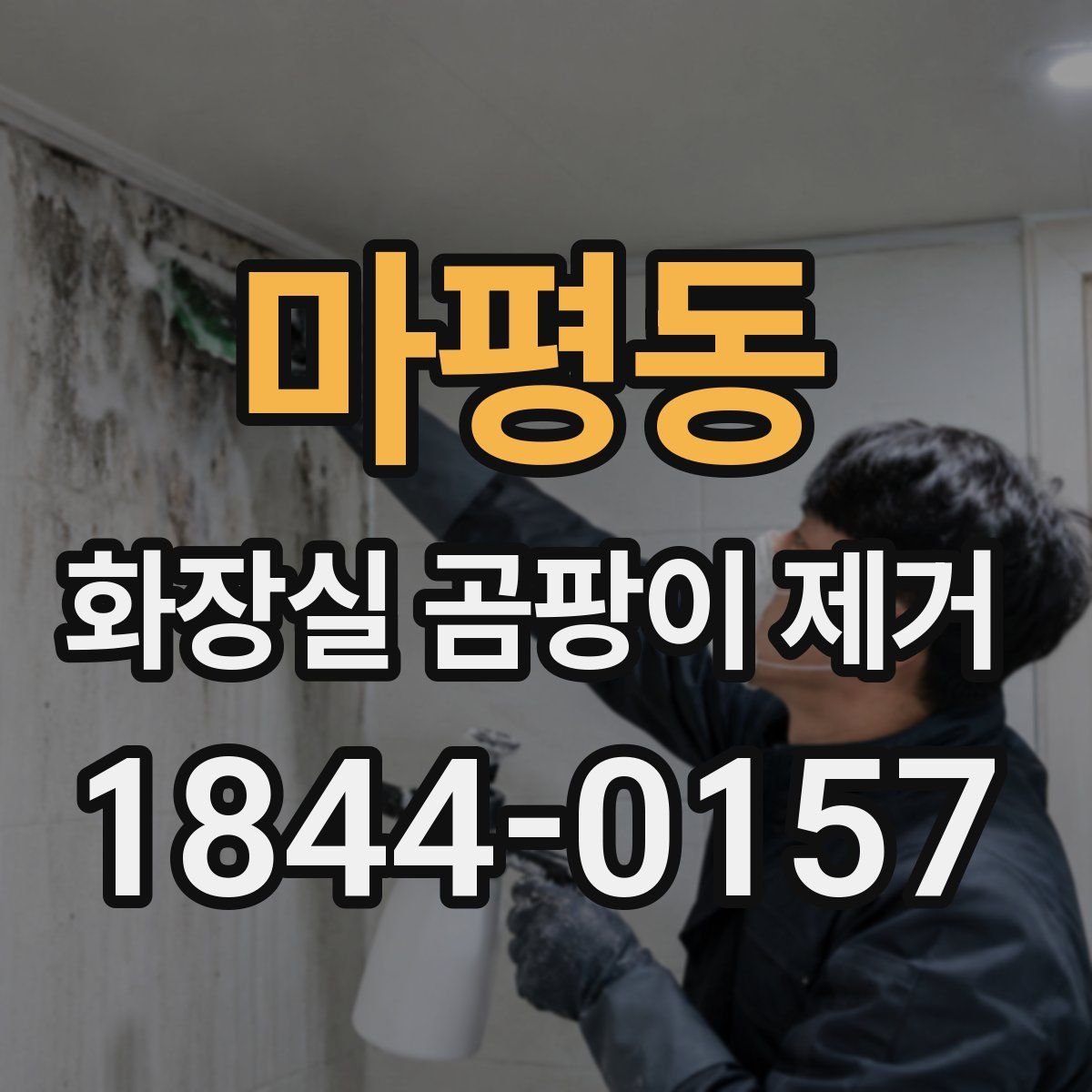 마평동 화장실 곰팡이 제거