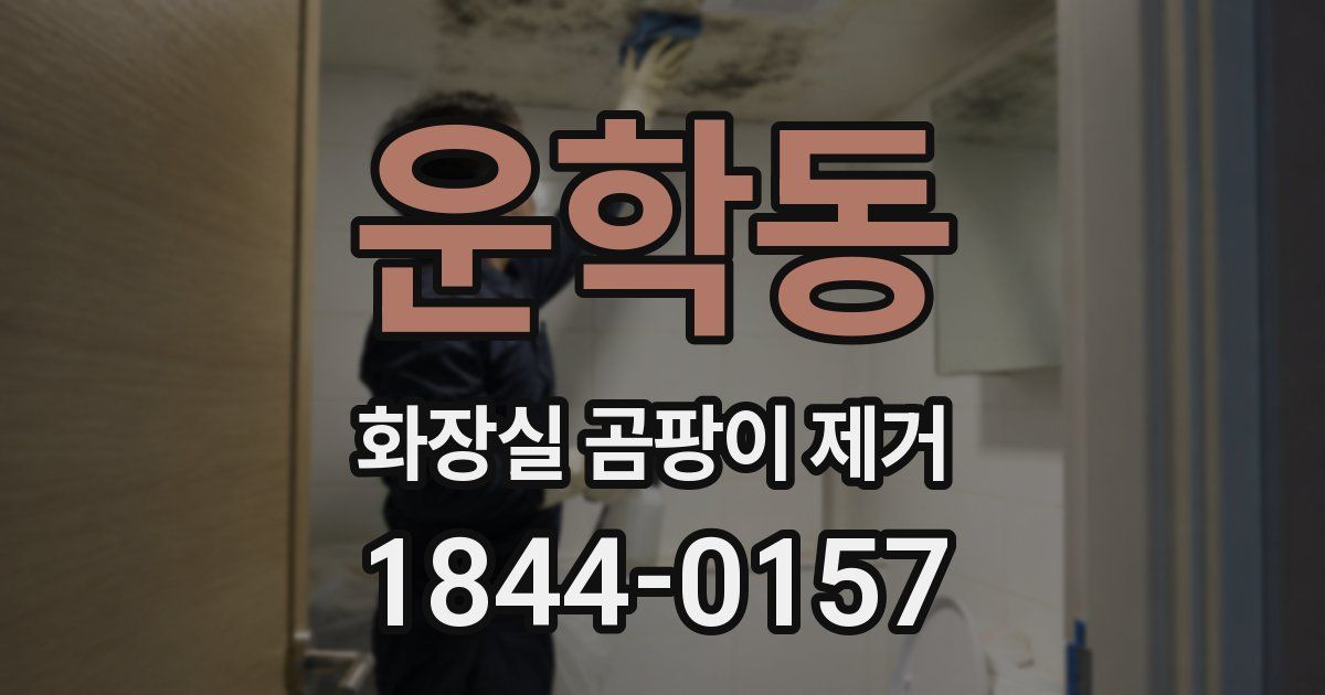 운학동 화장실 곰팡이 제거