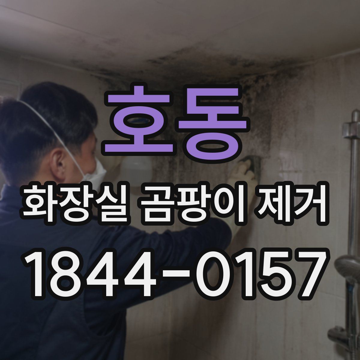 호동 화장실 곰팡이 제거