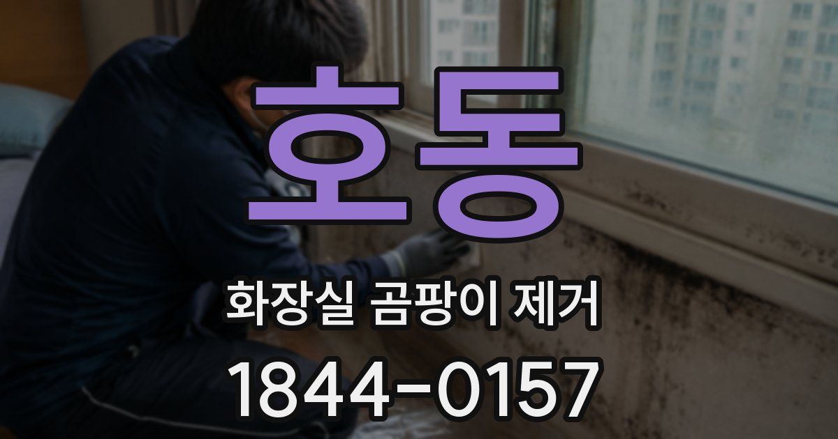 호동 화장실 곰팡이 제거