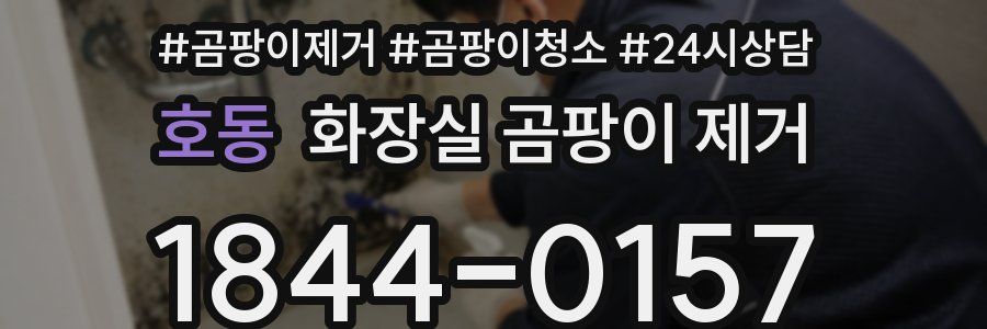 호동 화장실 곰팡이 제거
