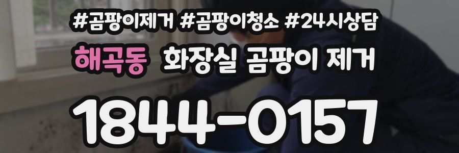 해곡동 화장실 곰팡이 제거