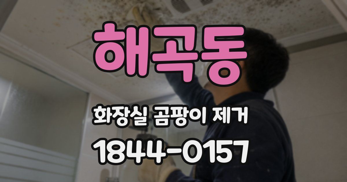 해곡동 화장실 곰팡이 제거