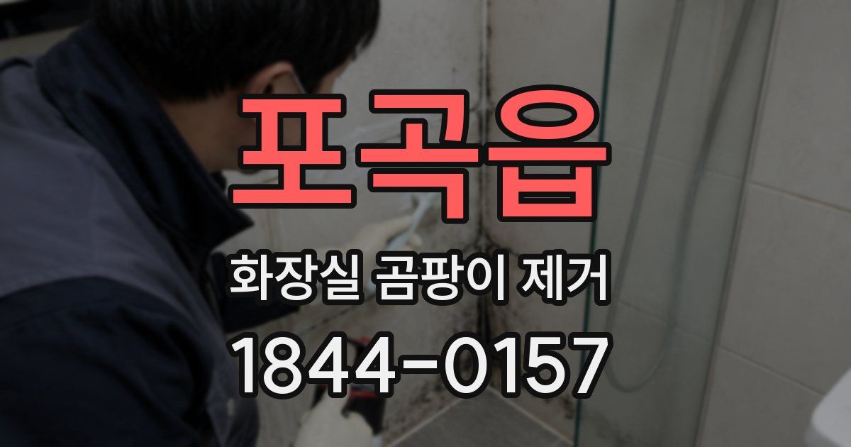 포곡읍 화장실 곰팡이 제거