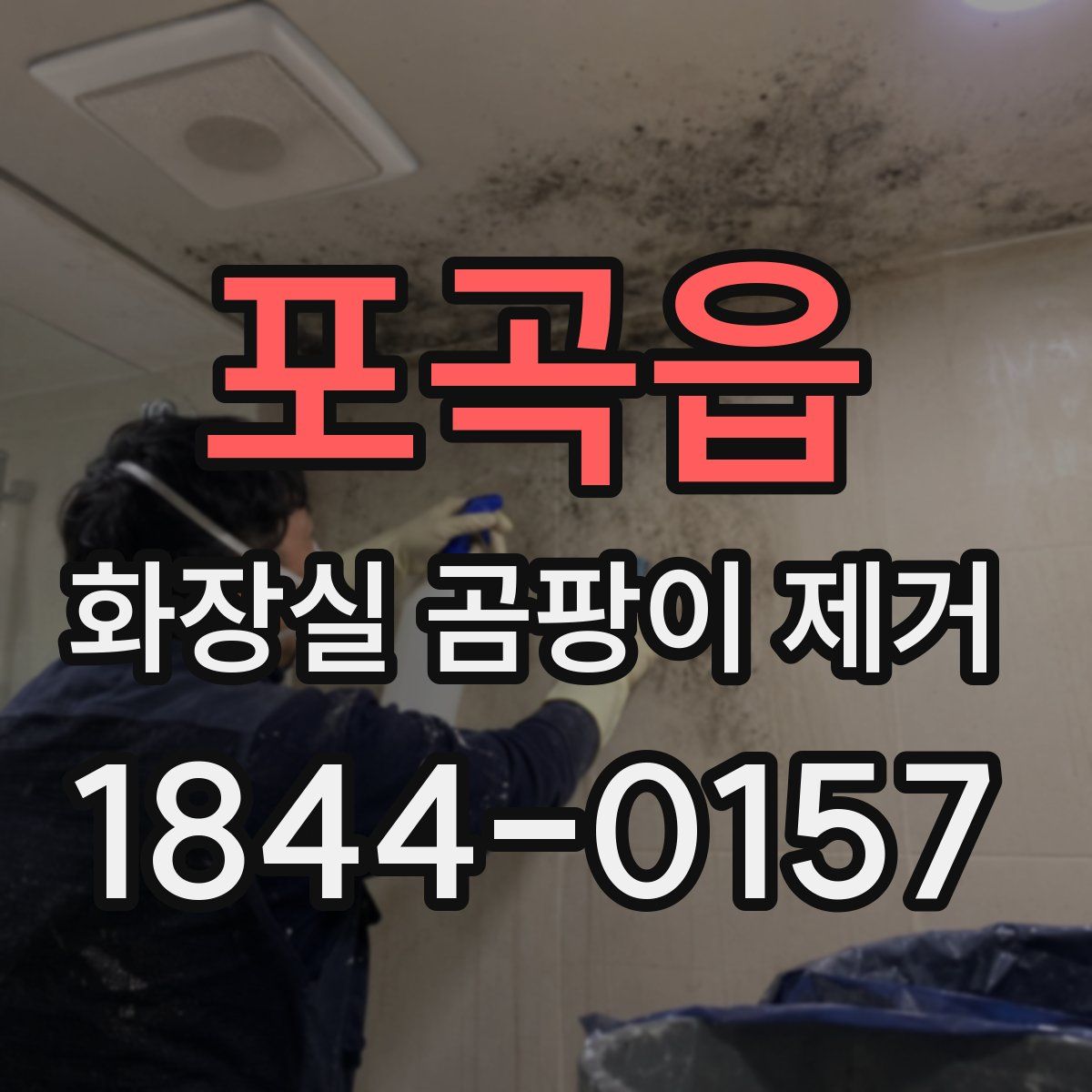 포곡읍 화장실 곰팡이 제거