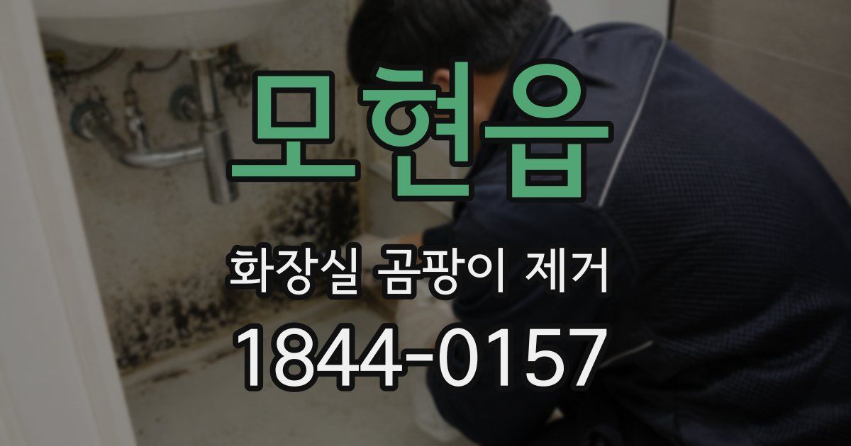 모현읍 화장실 곰팡이 제거