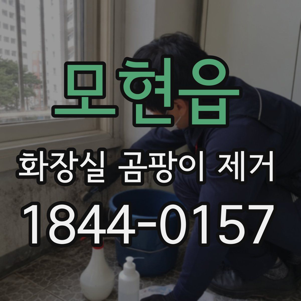 모현읍 화장실 곰팡이 제거
