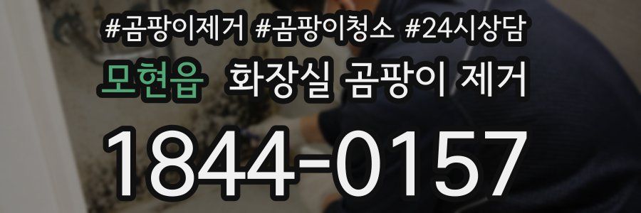 모현읍 화장실 곰팡이 제거