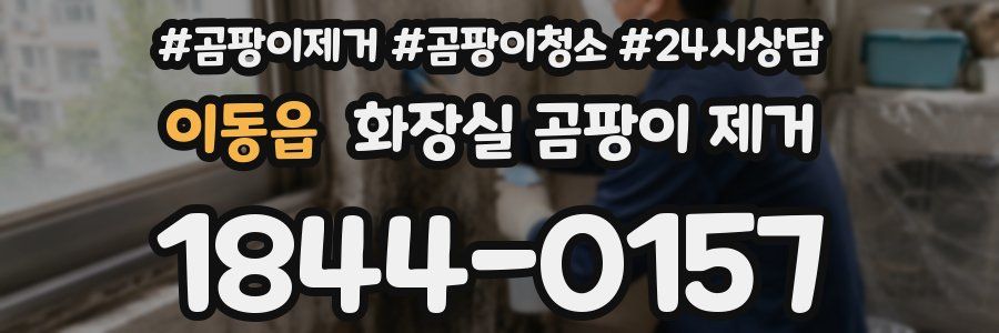 이동읍 화장실 곰팡이 제거