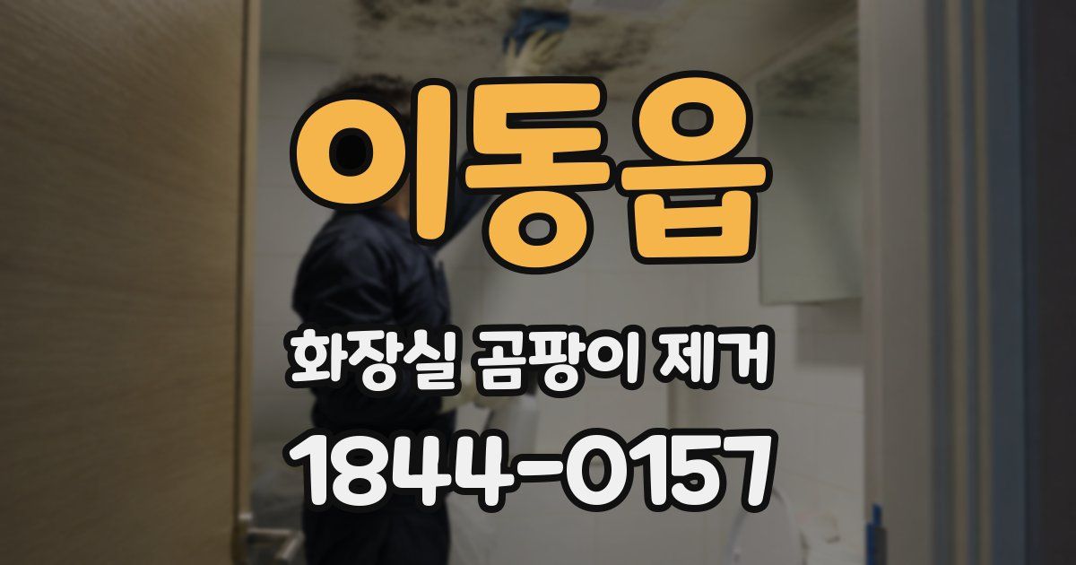 이동읍 화장실 곰팡이 제거