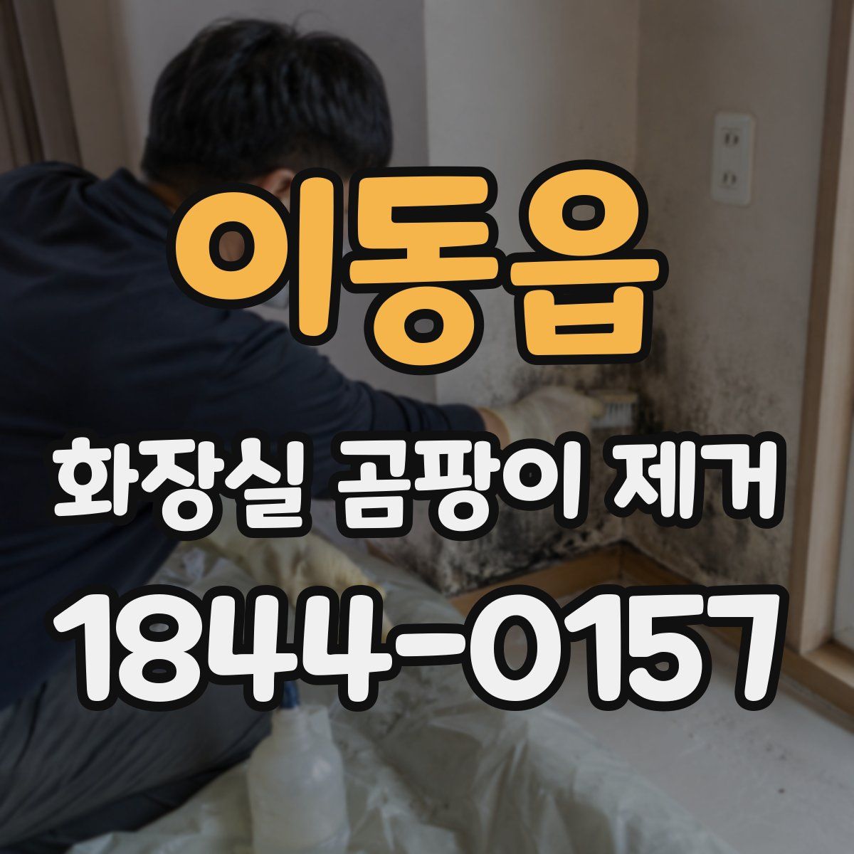 이동읍 화장실 곰팡이 제거