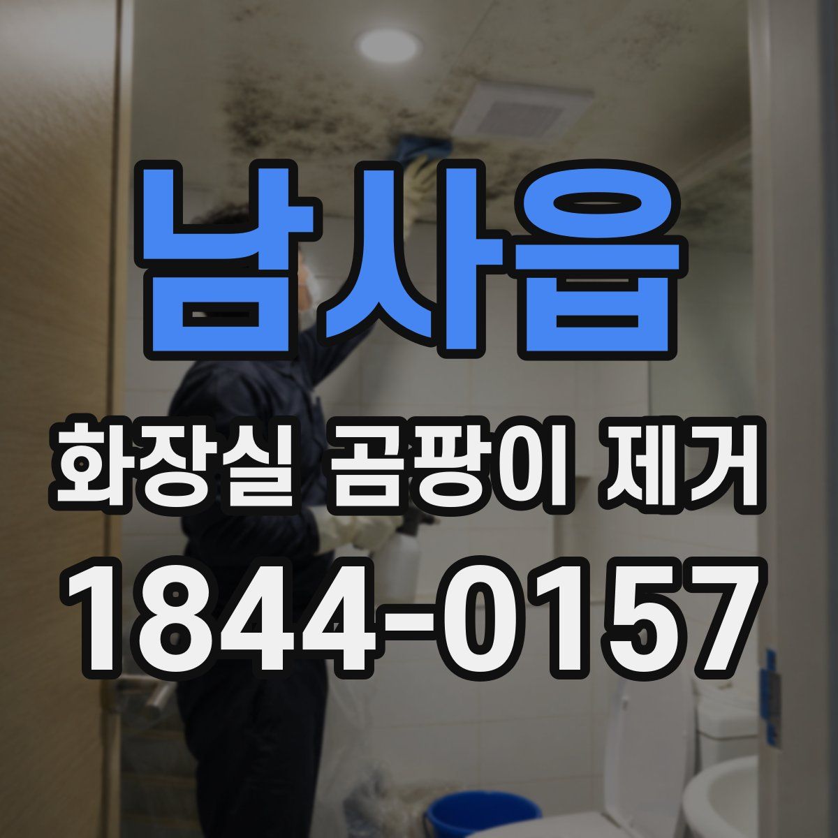 남사읍 화장실 곰팡이 제거