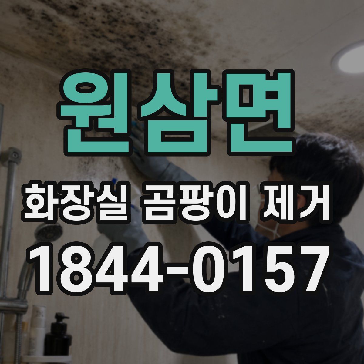 원삼면 화장실 곰팡이 제거
