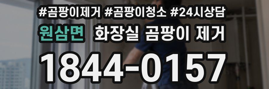 원삼면 화장실 곰팡이 제거