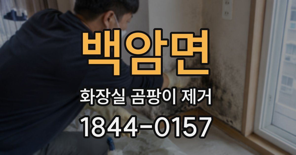 백암면 화장실 곰팡이 제거