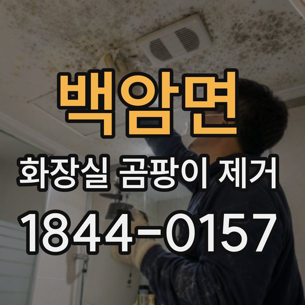 백암면 화장실 곰팡이 제거