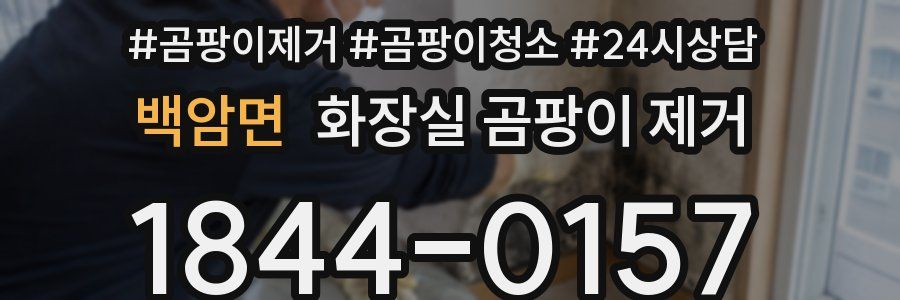 백암면 화장실 곰팡이 제거
